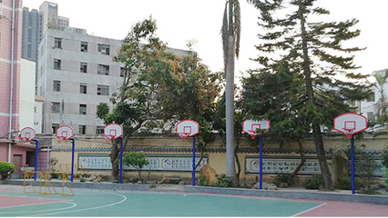 佛山顺德区凤翔小学儿童升降式篮球架拆换品质保障